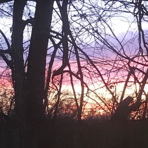 Meet your Posher, Destiny